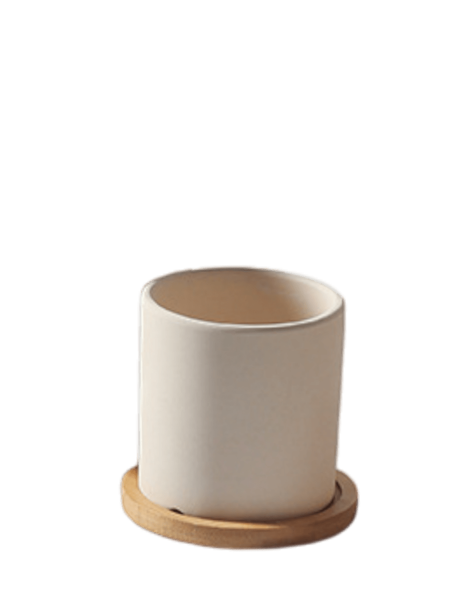 Cylinder Pot - XS - Planter - 4763524261540 - Tumbleweed Plants - Online Plant Delivery Singapore