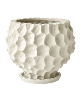 Durian Planter