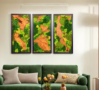 EARTH Frame - Preserved Plants: MOSS. - Moss Frame - 5816310041637 - Tumbleweed Plants - Online Plant Delivery Singapore