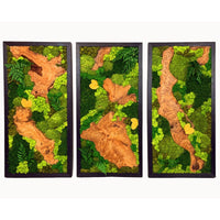 EARTH Frame - Preserved Plants: MOSS. - Moss Frame - 5816310041637 - Tumbleweed Plants - Online Plant Delivery Singapore