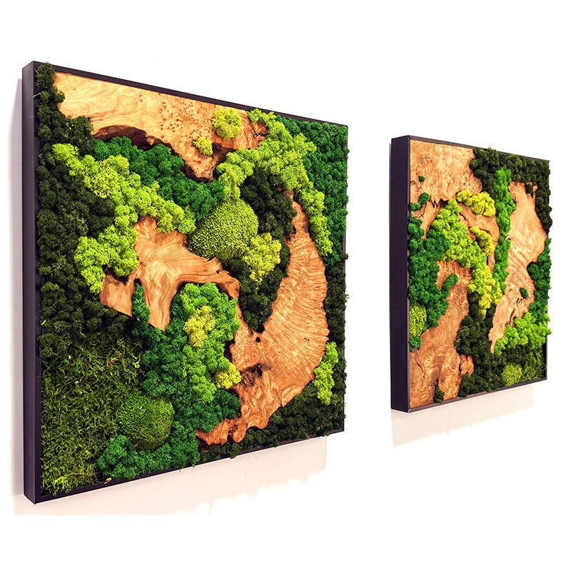 EARTH Frame - Preserved Plants: MOSS. - Moss Frame - 5816310041639 - Tumbleweed Plants - Online Plant Delivery Singapore