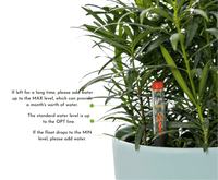 Egg Stoneblast - HydroEase Pot - Pots - 5699291975885 - Tumbleweed Plants - Online Plant Delivery Singapore