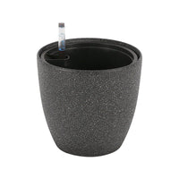 Egg Stoneblast - HydroEase Pot - Pots - 5699291975885 - Tumbleweed Plants - Online Plant Delivery Singapore
