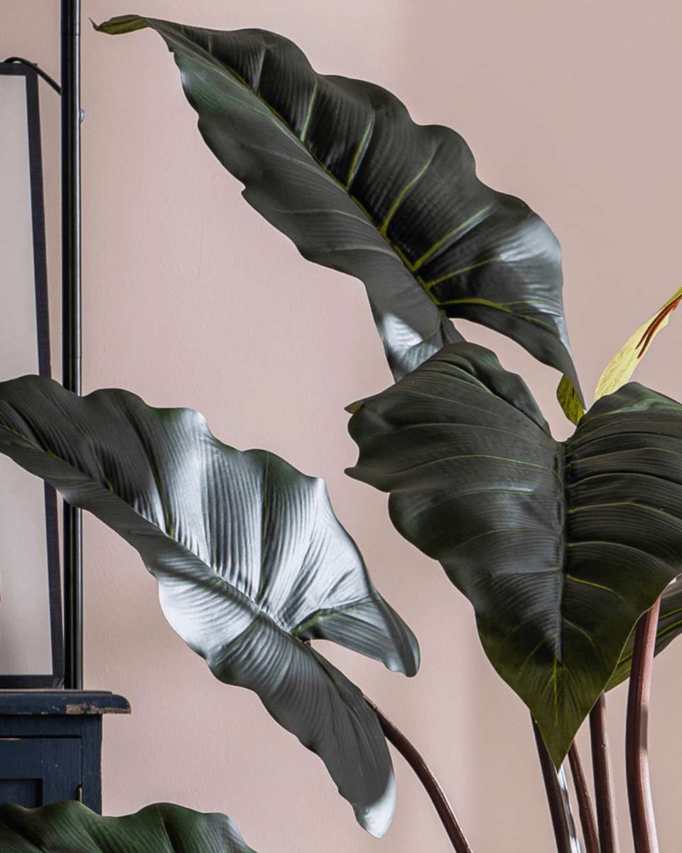 Elephant Ears Plant (Life - life Artificial) - Potted plant - 5054753962856 - Tumbleweed Plants - Online Plant Delivery Singapore