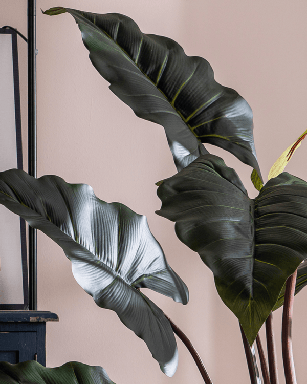 Elephant Ears Plant (Life - life Artificial) - Potted plant - 5054753962856 - Tumbleweed Plants - Online Plant Delivery Singapore