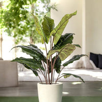 Elephant Ears Plant (Life-life Artificial)