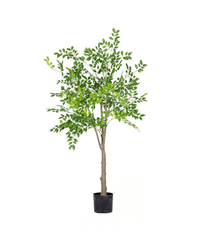 Elm Money Tree (Life - like Artificial) - Potted plant - 5300952242268 - Tumbleweed Plants - Online Plant Delivery Singapore