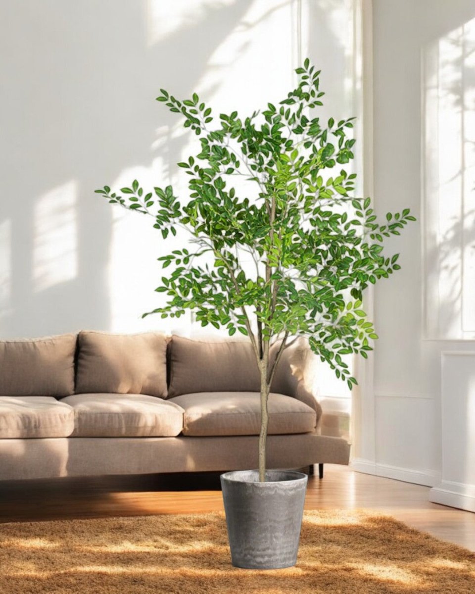 Elm Money Tree (Life - like Artificial) - Potted plant - 5300952242268 - Tumbleweed Plants - Online Plant Delivery Singapore