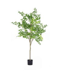 Elm Money Tree (Life - like Artificial) - Potted plant - 5300952242274 - Tumbleweed Plants - Online Plant Delivery Singapore