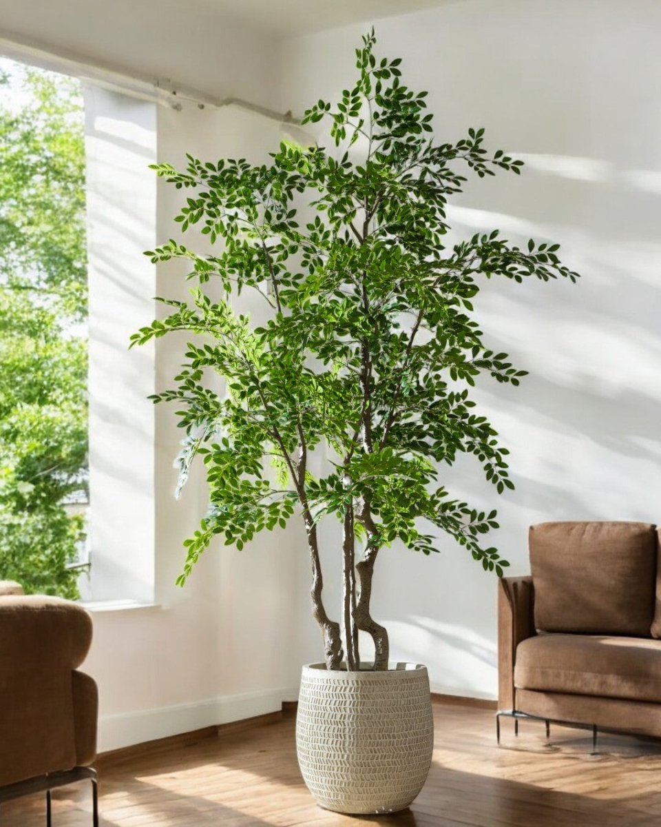 Elm Money Tree (Life - like Artificial) - Potted plant - 5300952242274 - Tumbleweed Plants - Online Plant Delivery Singapore