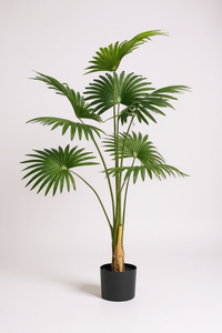 Bamboo Palm (Life-life Artificial) - Potted plant -  Tumbleweed Plants