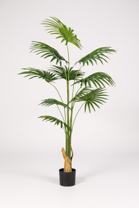 Bamboo Palm (Life-life Artificial) - Potted plant -  Tumbleweed Plants