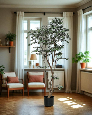 Ficus - Real-Trunk Artificial