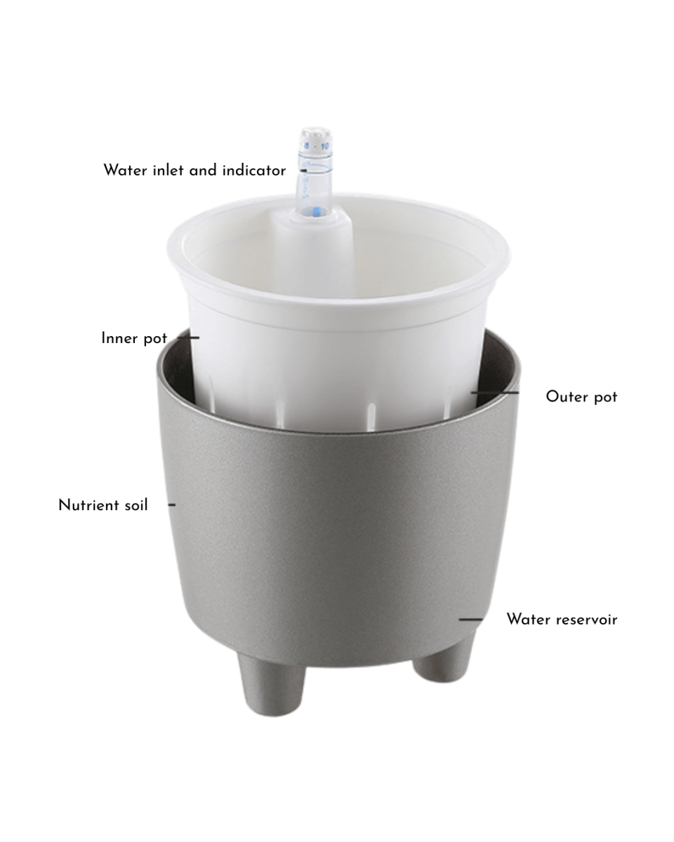 Flow HydroEase Pot - XS - Pots - 5509379880193 - Tumbleweed Plants - Online Plant Delivery Singapore