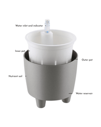Flow HydroEase Pot - XS - Pots - 5509379880193 - Tumbleweed Plants - Online Plant Delivery Singapore
