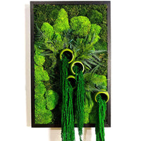 Frame Greens - Preserved Plants: MOSS. - Moss Frame - 6058099643177 - Tumbleweed Plants - Online Plant Delivery Singapore