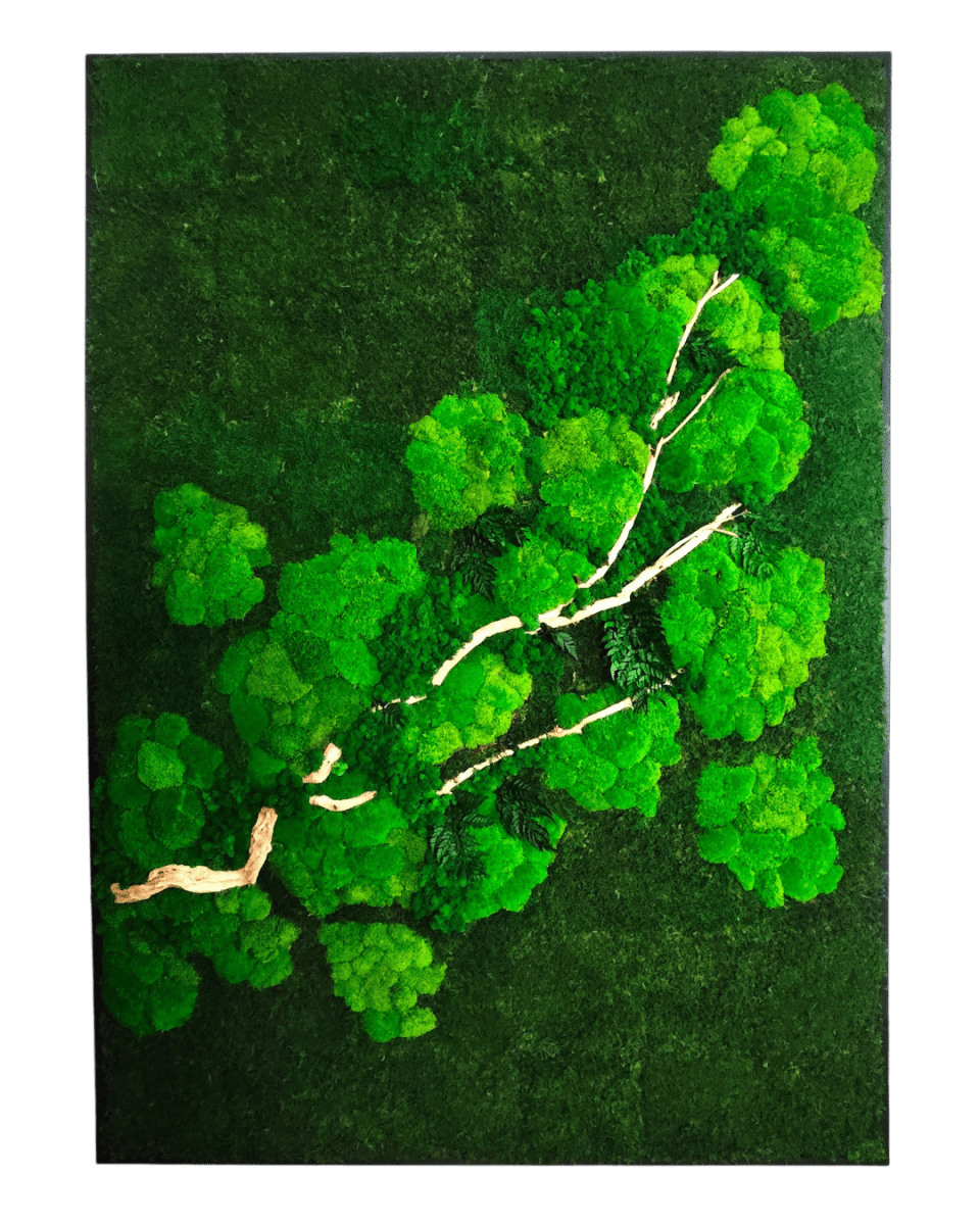 Frame Greens - Preserved Plants: MOSS. - Moss Frame - 6058099643177 - Tumbleweed Plants - Online Plant Delivery Singapore