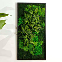 Frame Greens - Preserved Plants: MOSS. - Moss Frame - 6058099643176 - Tumbleweed Plants - Online Plant Delivery Singapore