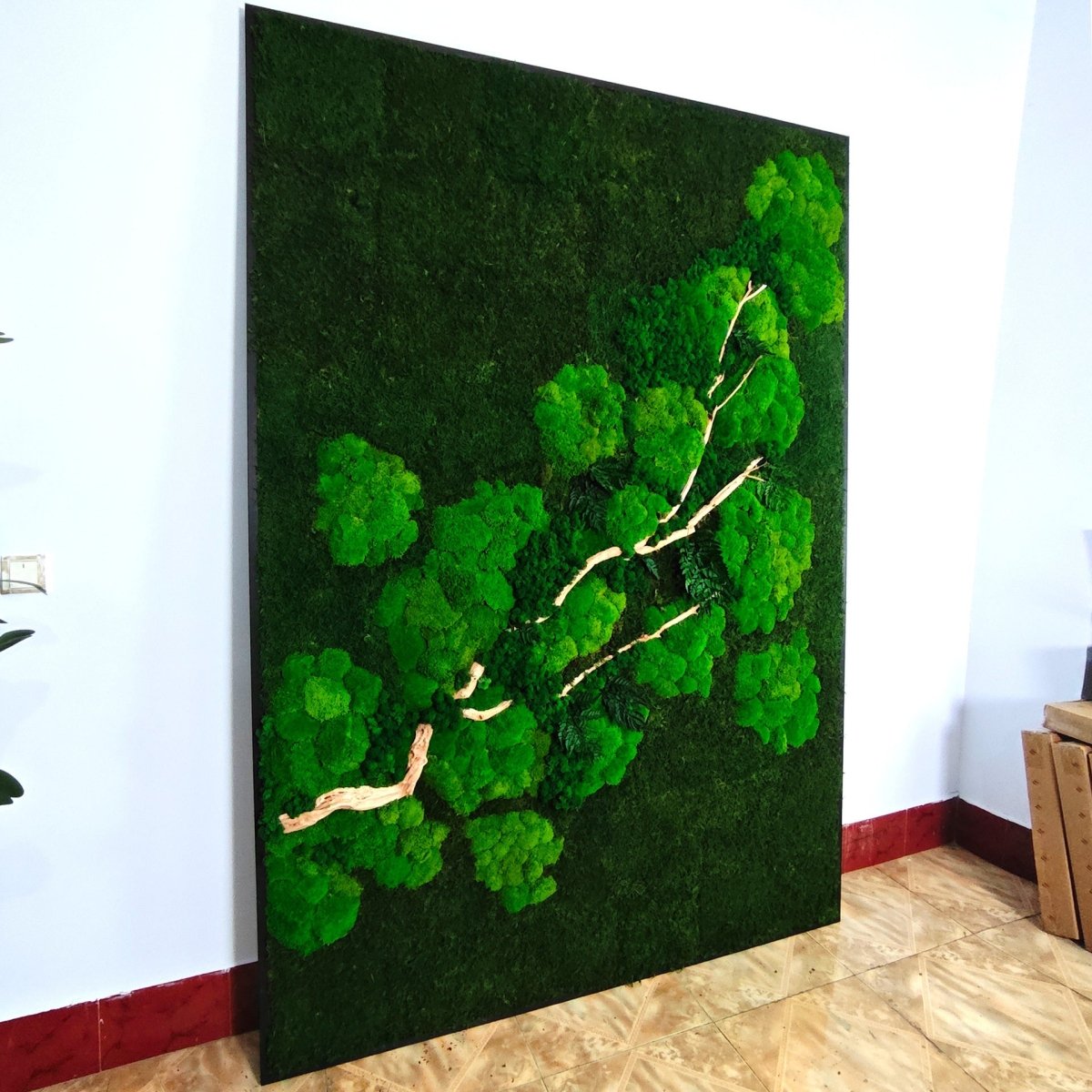 Frame Greens - Preserved Plants: MOSS. - Moss Frame - 6058099643176 - Tumbleweed Plants - Online Plant Delivery Singapore