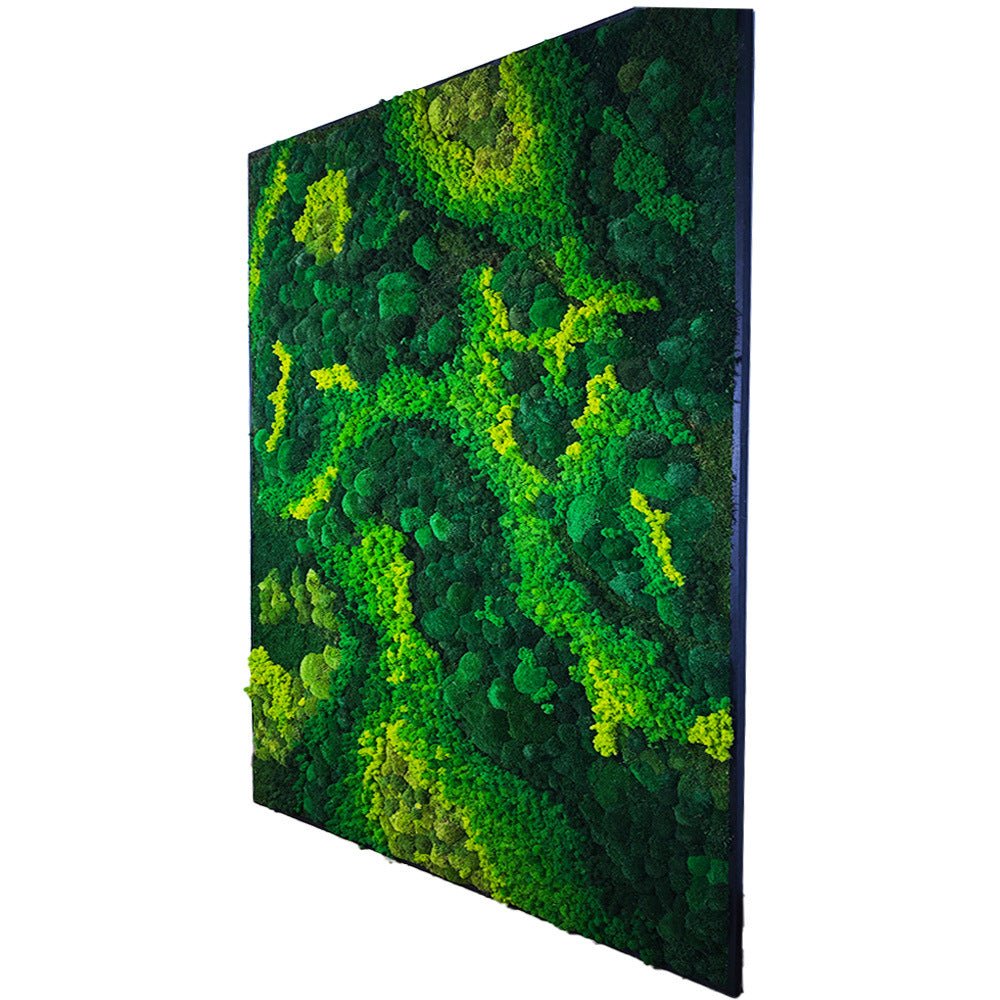 Frame - Preserved Plants: MOSS. - Moss Frame - 6024021051232 - Tumbleweed Plants - Online Plant Delivery Singapore