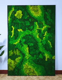 Frame - Preserved Plants: MOSS. - Moss Frame - 6024021051232 - Tumbleweed Plants - Online Plant Delivery Singapore