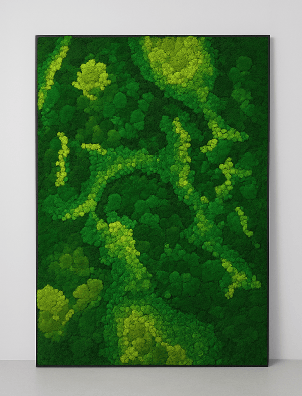 Frame - Preserved Plants: MOSS. - Moss Frame - 6024021051232 - Tumbleweed Plants - Online Plant Delivery Singapore