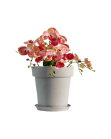 GAL Plastic Pots - Large