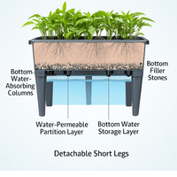 GrowBox - Standing Planter - Planter - 5042502975770 - Tumbleweed Plants - Online Plant Delivery Singapore
