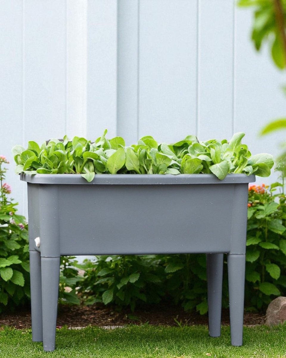 self watering standing planter Buy GrowBox Self Watering Raised Planter Box