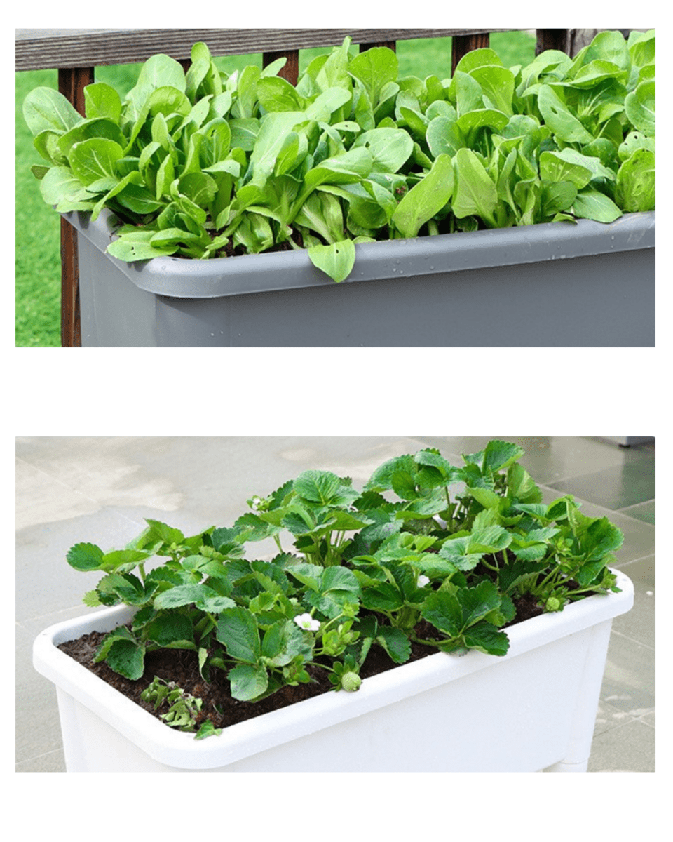 GrowBox - Standing Planter - Planter - 5042502975770 - Tumbleweed Plants - Online Plant Delivery Singapore