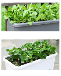 GrowBox - Standing Planter - Planter - 5042502975770 - Tumbleweed Plants - Online Plant Delivery Singapore