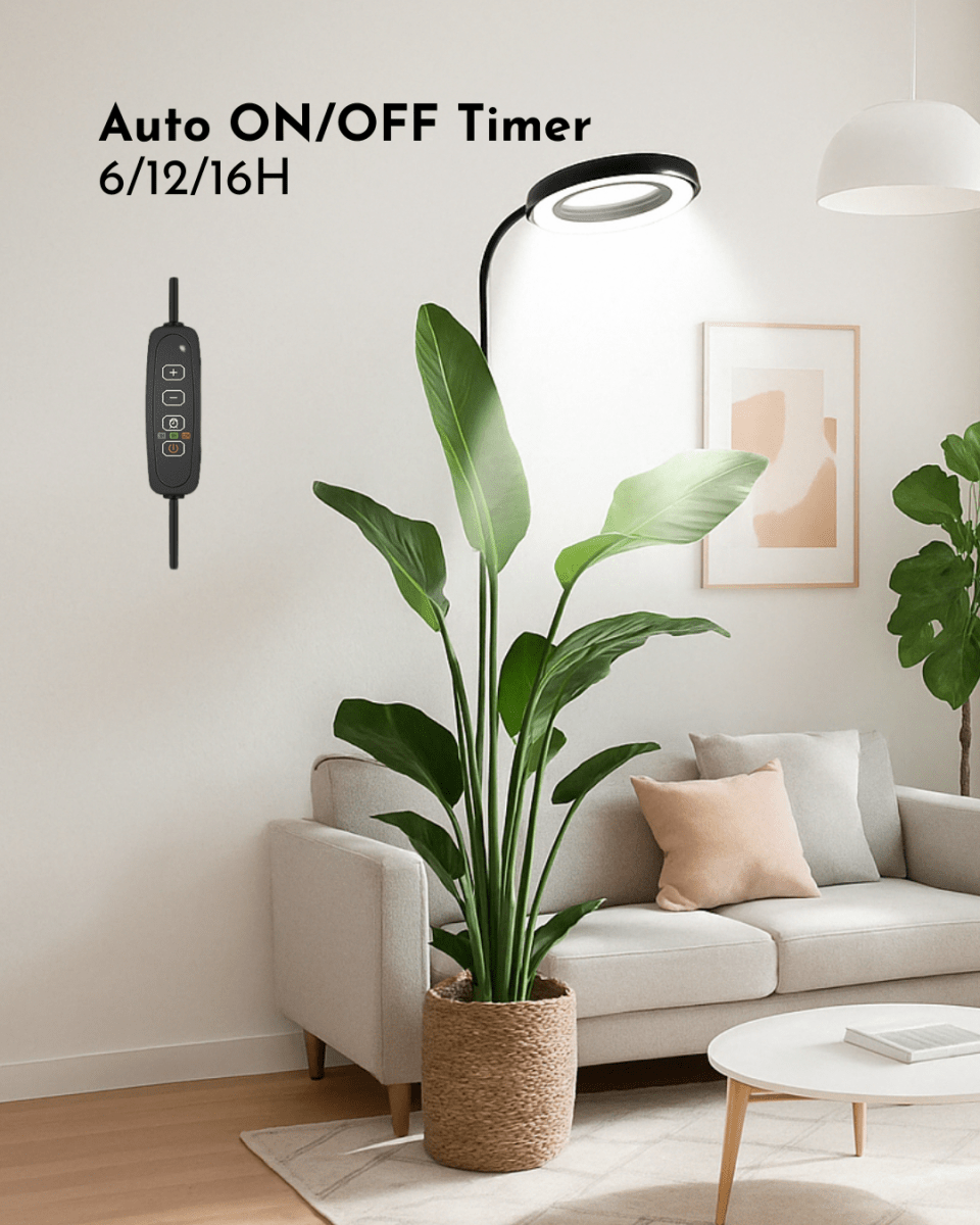 Halo Plant Light - XL - Plant Lights - 5826490026810 - Tumbleweed Plants - Online Plant Delivery Singapore