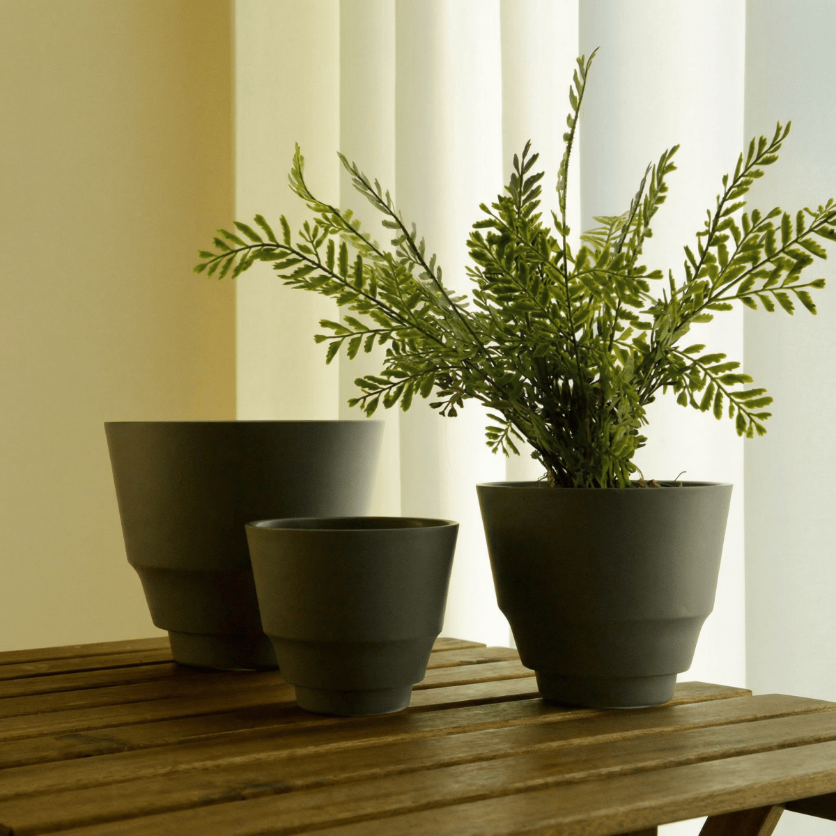 Ash Core Cloudstone Pot - Medium - Planter - 5893341379891 - Tumbleweed Plants - Online Plant Delivery Singapore