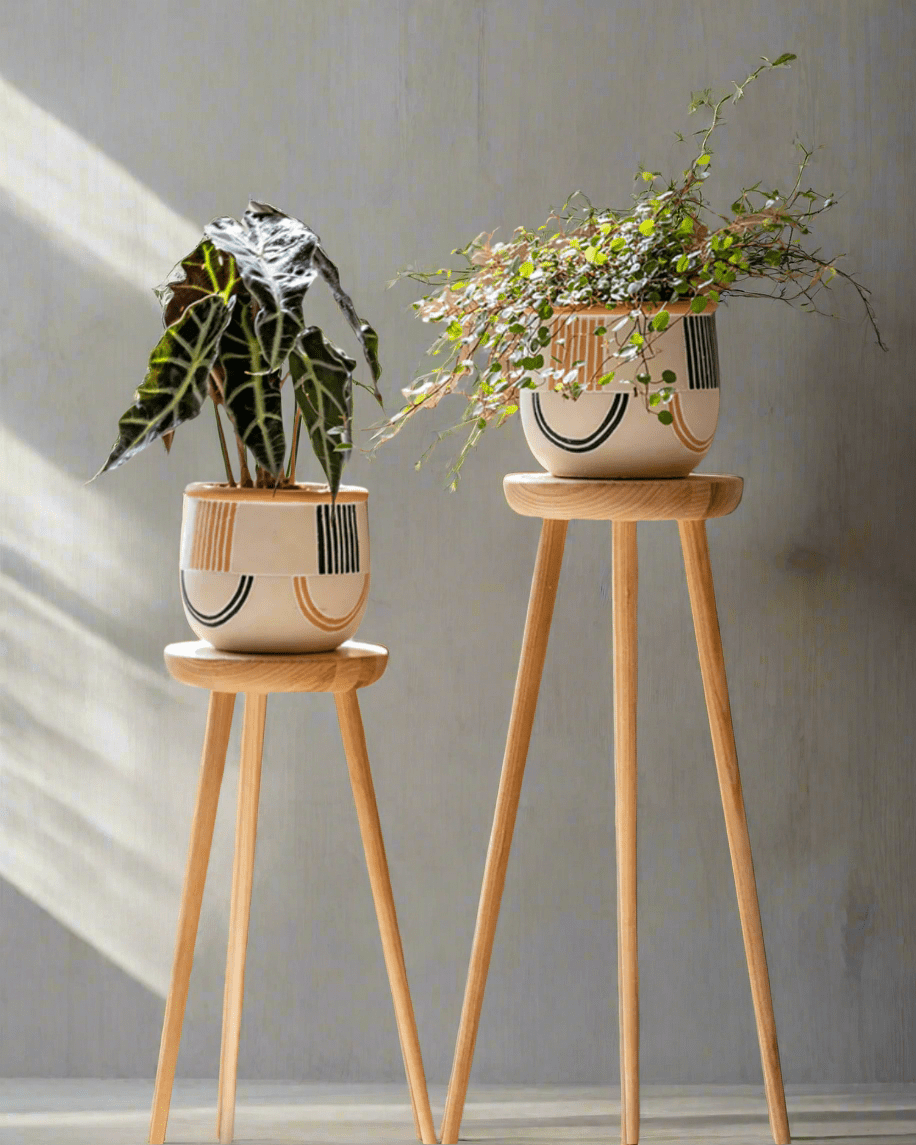 High Wooden Plant Stand - Tumbleweed Plants