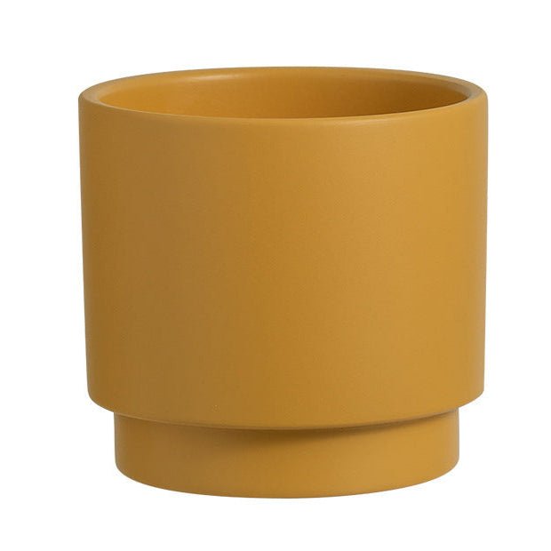 Hyde Planter - Small - Planter - 4850422792546 - Tumbleweed Plants - Online Plant Delivery Singapore