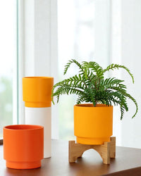 Hyde Planter - Small - Planter - 4850422792557 - Tumbleweed Plants - Online Plant Delivery Singapore