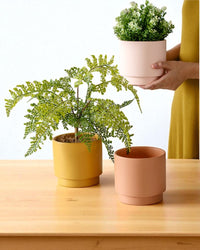 Hyde Planter - Small - Planter - 4850422792557 - Tumbleweed Plants - Online Plant Delivery Singapore