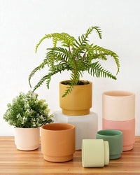 Hyde Planter - Small - Planter - 4850422792557 - Tumbleweed Plants - Online Plant Delivery Singapore