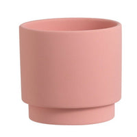 Hyde Planter - Small - Planter - 4850422792549 - Tumbleweed Plants - Online Plant Delivery Singapore