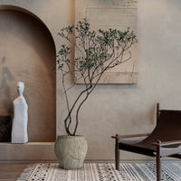 Island Tree - Real - Trunk Artificial - Potted plant - 5516314535783 - Tumbleweed Plants - Online Plant Delivery Singapore