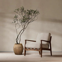 Island Tree - Real - Trunk Artificial - Potted plant - POTT - ISLA - SPR - 7277 - Tumbleweed Plants - Online Plant Delivery Singapore