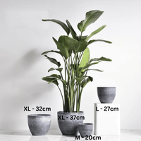 AirStone Egg Pots - Large