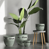 AirStone Egg Pots - Large
