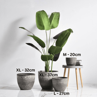 Large AirStone Egg Pots - Pots - 4334240041463 - 01 - Tumbleweed Plants - Online Plant Delivery Singapore