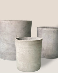 Large Aurora Clay Pot - 21cm - Pot - Tumbleweed Plants - Online Plant Delivery Singapore