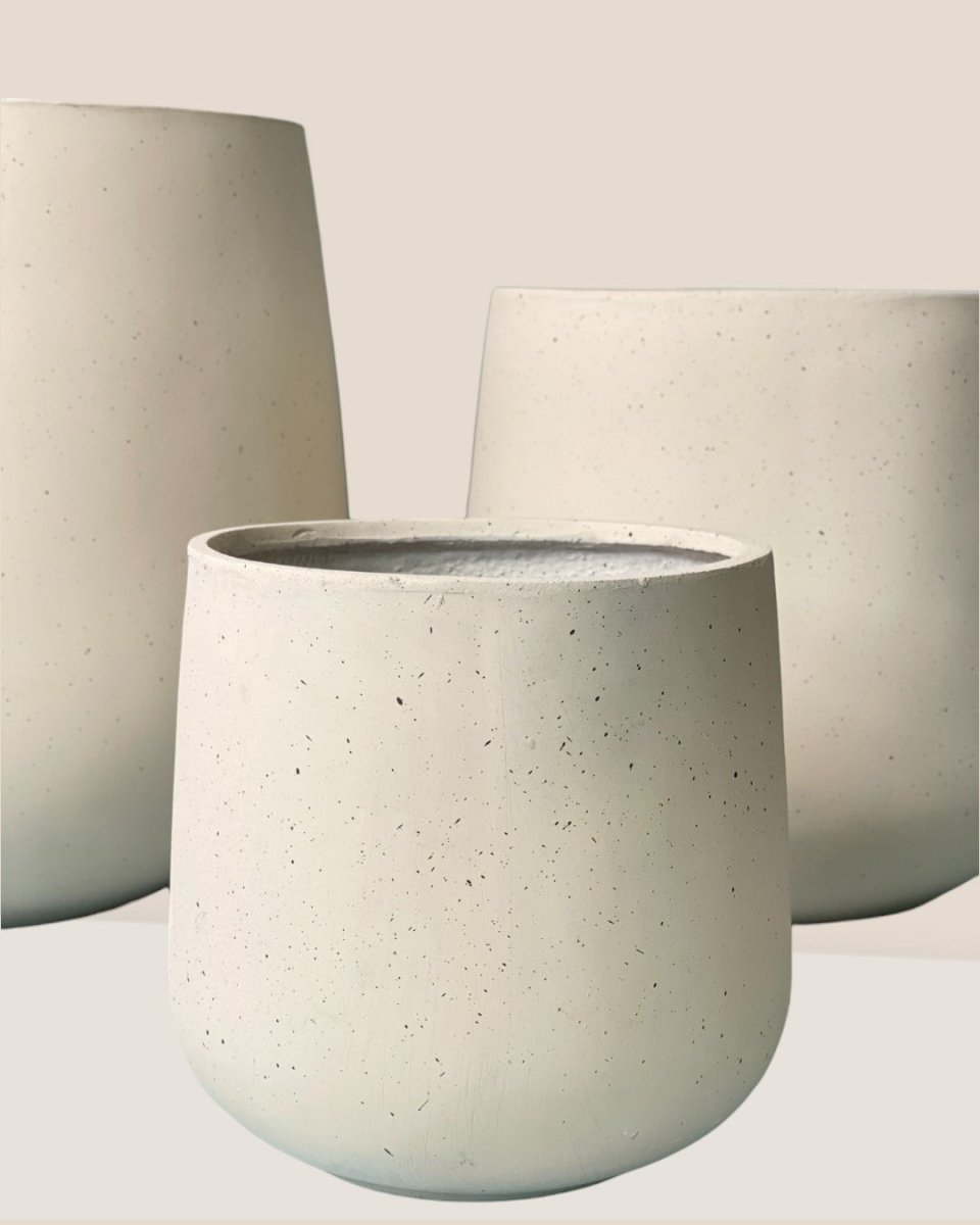 Large Sienna - cream - Pot - Tumbleweed Plants - Online Plant Delivery Singapore