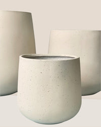 Large Sienna - cream - Pot - Tumbleweed Plants - Online Plant Delivery Singapore