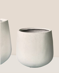 Large Sienna - white - Pot - Tumbleweed Plants - Online Plant Delivery Singapore