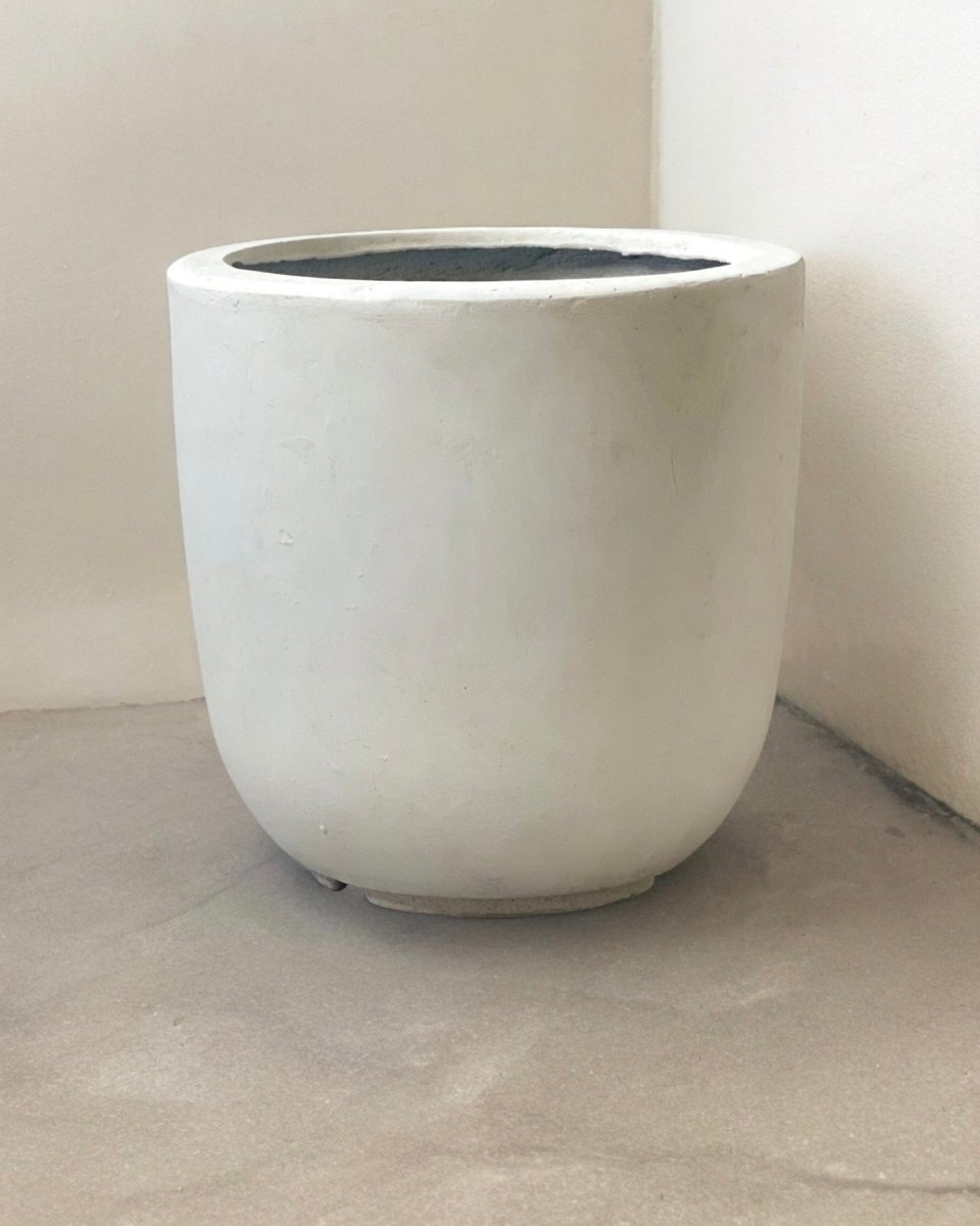 Large Zeni Planter - off - white - Pot - Tumbleweed Plants - Online Plant Delivery Singapore