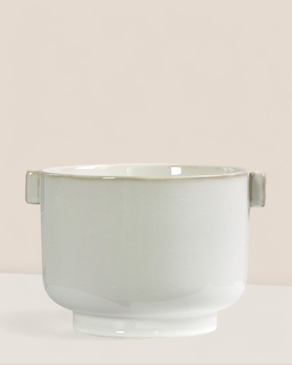 Livia Planter - Pots - 5612008967168 - Tumbleweed Plants - Online Plant Delivery Singapore